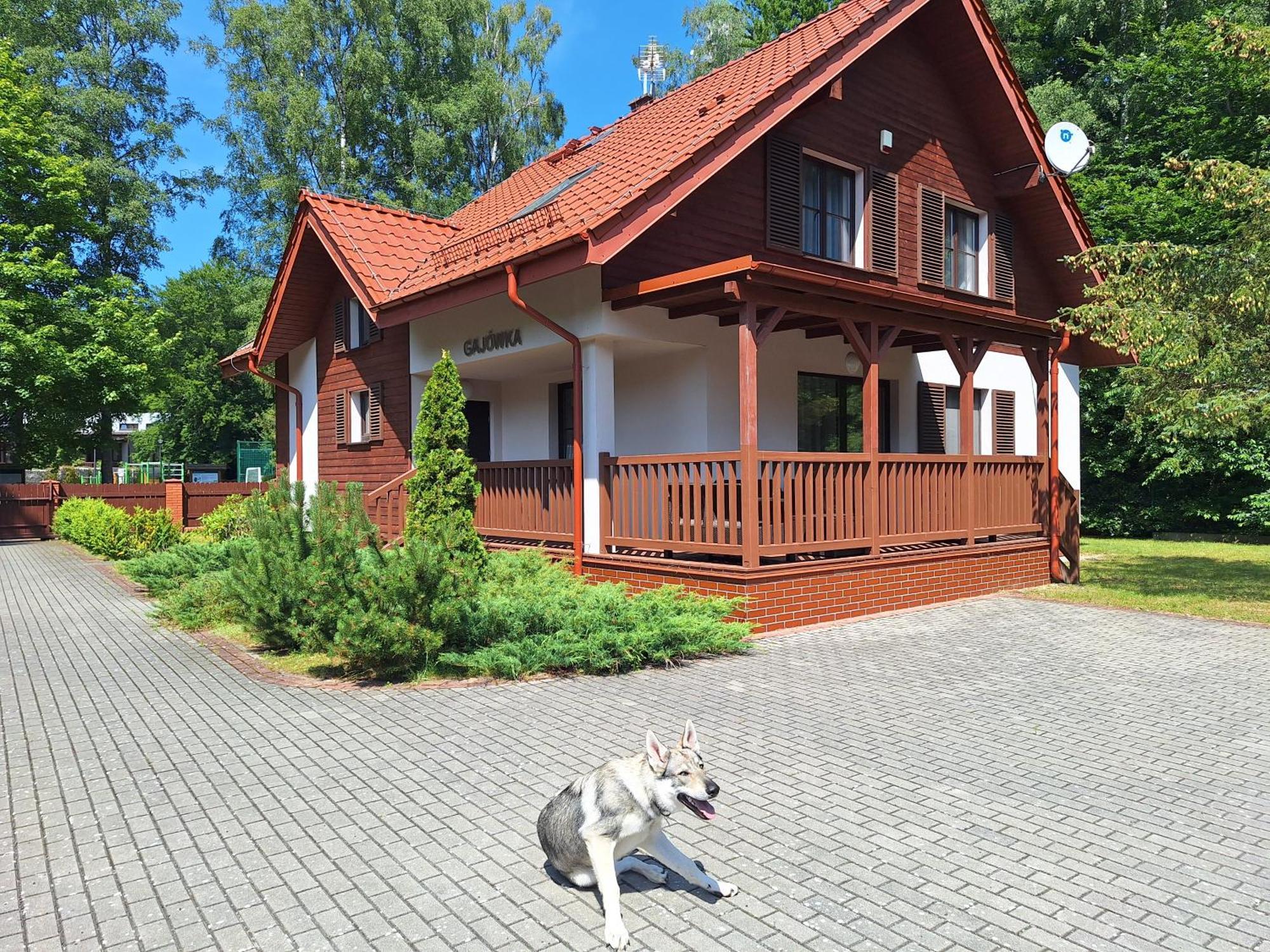 Hotel Osrodek Szkoleniowo-Wypoczynkowy "Lesnik" Ustka Zewnętrze zdjęcie